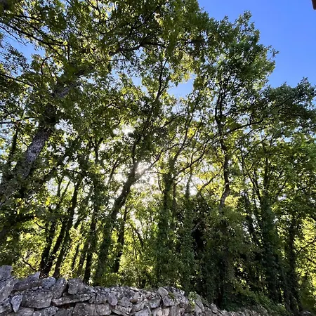 L'évidence En Provence 3* Vachères