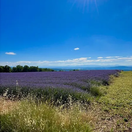 Bed & Breakfast L'evidence En Provence 3*